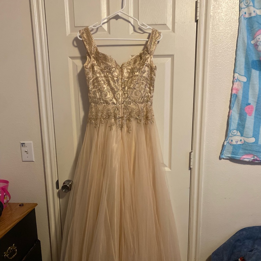 Cinderella Divine: Quinceañera /Prom dress